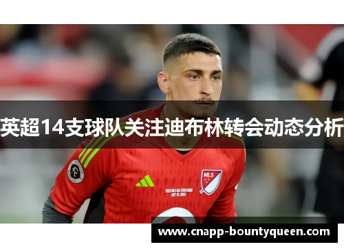 英超14支球队关注迪布林转会动态分析