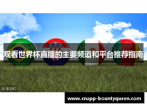 观看世界杯直播的主要频道和平台推荐指南